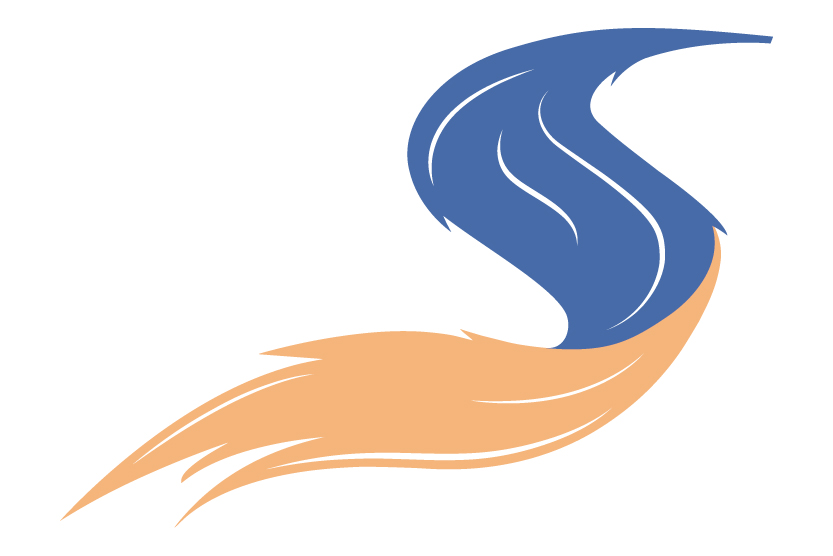 Swish Spine & Sport Phyiso